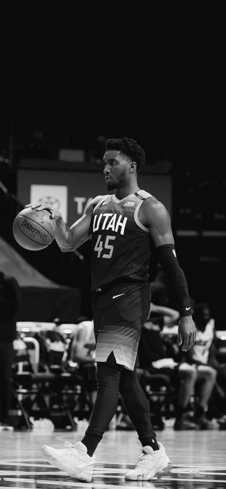 关注中国田 关注中国田